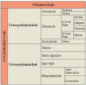 1. Koadroa: Polisakaridoen sailkapena.<br>